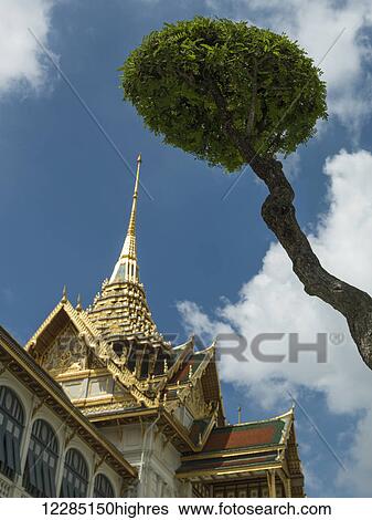 Stock Photograph - Low angle view of a building with gold spire and tree; Bangkok, Thailand. Fotosearch