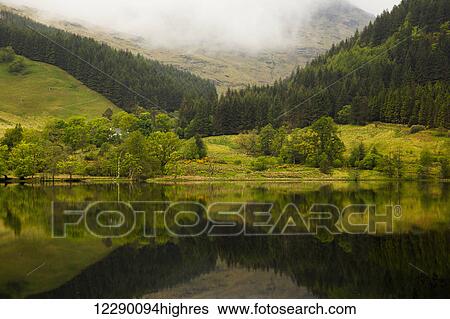 Lush green landscape with grass, trees and low cloud with it's mirror image in the tranquil water; Scotland View Large Photo Image Stock Photograph - Lush green landscape with grass, trees and low cloud with it's mirror image in the tranquil water; Scotland. Fotosearch