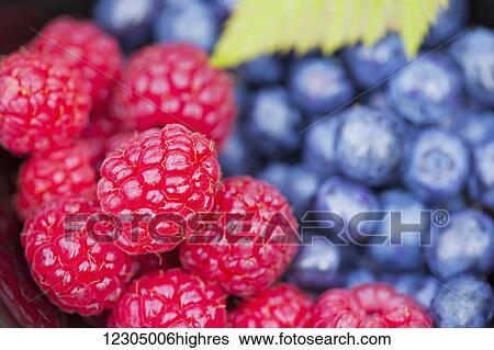 Stock Photograph - Macro of fresh ripe raspberries and blueberries. Fotosearch