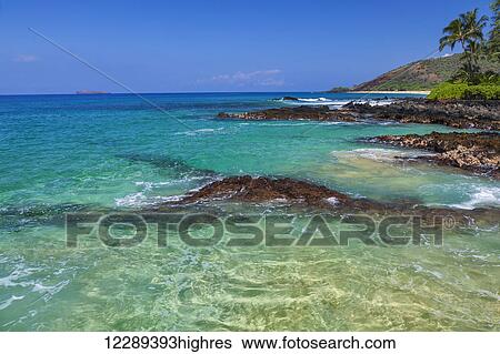 Stock Photograph - Makena Coast with clear ocean and palm tree; Maui, Hawaii, United States of America. Fotosearch