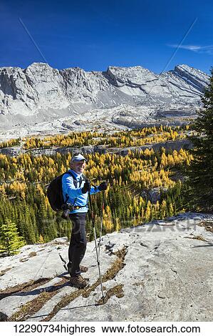 Male hiker with poles on rock ridge overlooking alpine valley with colourful larch trees in autumn and mountain cliffs with blue sky in the background, Kananaskis Provincial Park; Alberta, Canada View Large Photo Image Stock Photograph - Male hiker with poles on rock ridge overlooking alpine valley with colourful larch trees in autumn and mountain cliffs with blue sky in the background, Kananaskis Provincial Park; Alberta, Canada. Fotosearch