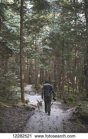 Stock Image - Man hiking with his dog on a path in the forest with a light dusting of snow on the ground, Girdwood, Southcentral Alaska. Fotosearch