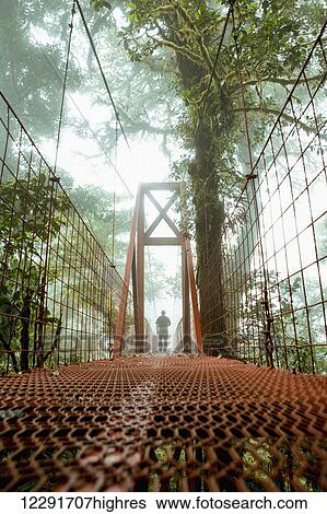 Man on a bridge, Monteverde Cloud Forest Reserve; Monteverde, Costa Rica View Large Photo Image Stock Photograph - Man on a bridge, Monteverde Cloud Forest Reserve; Monteverde, Costa Rica. Fotosearch
