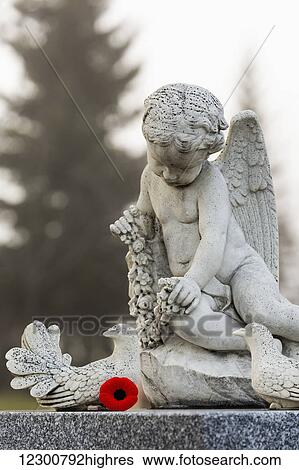 Marble child angel statue with doves and red Remembrance Day poppy; Calgary, Alberta, Canada View Large Photo Image Stock Photograph - Marble child angel statue with doves and red Remembrance Day poppy; Calgary, Alberta, Canada. Fotosearch