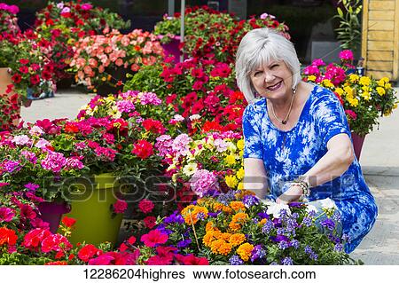 Stock Photograph - Mature woman shopping for outdoor plants in a garden centre; St. Albert, Alberta, Canada. Fotosearch