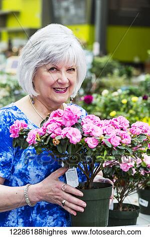 Mature woman shopping for plants at a garden centre in a shopping complex; St. Albert, Alberta, Canada View Large Photo Image Stock Photograph - Mature woman shopping for plants at a garden centre in a shopping complex; St. Albert, Alberta, Canada. Fotosearch
