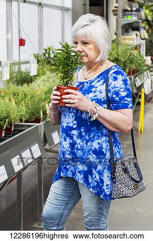 Mature woman shopping for plants in a garden centre in a shopping complex; St. Albert, Alberta, Canada View Large Photo Image Stock Photograph - Mature woman shopping for plants in a garden centre in a shopping complex; St. Albert, Alberta, Canada. Fotosearch