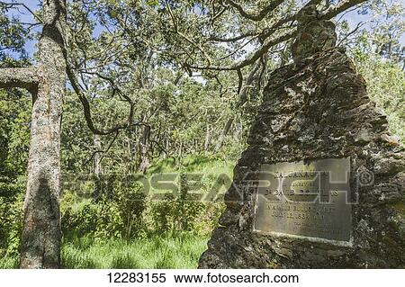 Stock Photography - Memorial along Mana Road to Dr. David Douglas, renowned botanist of Hawaiian plants for who Douglas Fir is named; . Fotosearch