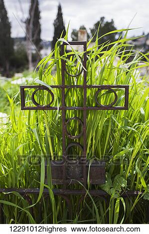 Metal cross headstone with overgrown grass in a cemetery; Israel View Large Photo Image Stock Photograph - Metal cross headstone with overgrown grass in a cemetery; Israel. Fotosearch