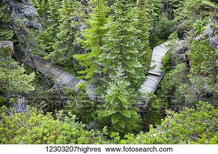 Mingan Archipelago National Park Reserve; Quebec, Canada View Large Photo Image Stock Photograph - Mingan Archipelago National Park Reserve; Quebec, Canada. Fotosearch