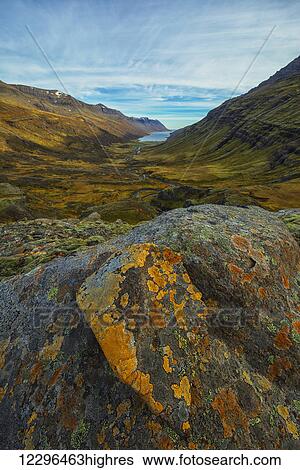 Stock Photograph - Mjoifjordur is a fjord on Iceland's Eastern coast, a lichen covered rock in the foreground while the fjord extends out behind it; Iceland. Fotosearch