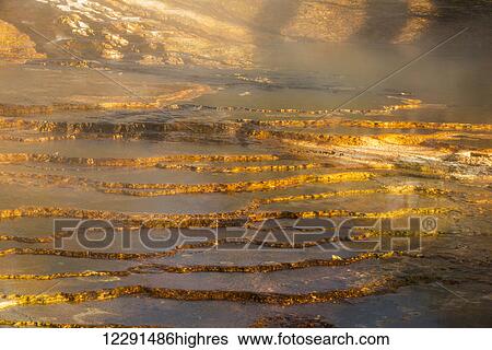 Stock Photograph - Morning light on the Mammoth Hot Spring Terraces in Yellowstone National Park; Wyoming, United States of America. Fotosearch