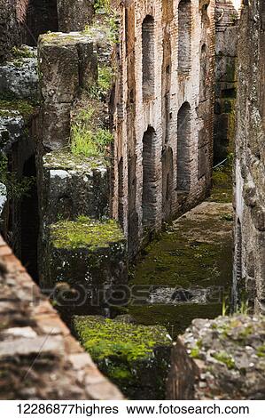 Stock Photograph - Moss growing and the ruins of stone walls; Rome, Italy. Fotosearch