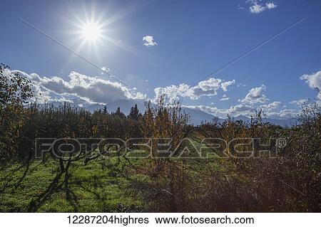 Mount Olympus and sunburst; Greece View Large Photo Image Stock Photograph - Mount Olympus and sunburst; Greece. Fotosearch