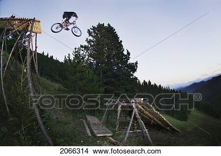 Picture - Mountain Biker Jumping From Wooden Ramp On To Log Ramp; Canada, Alberta, Moose Mountain. Fotosearch