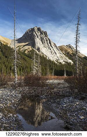 Stock Photograph - Mountain peak reflecting in still rocky stream in alpine meadow with blue sky and clouds, Kananaskis Provincial Park; Alberta, Canada. Fotosearch