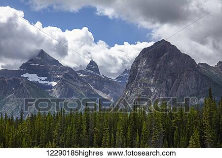 Mountain view along the Athabasca river, highway 93, Icefield parkway, Jasper National Park; Alberta, Canada View Large Photo Image Stock Photograph - Mountain view along the Athabasca river, highway 93, Icefield parkway, Jasper National Park; Alberta, Canada. Fotosearch