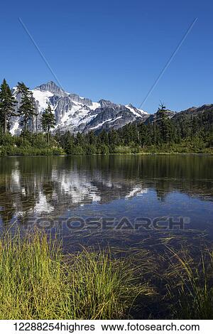 Mt. Shuksan is reflected in the waters of Picture Lake; Washington State, United States of America View Large Photo Image Stock Photograph - Mt. Shuksan is reflected in the waters of Picture Lake; Washington State, United States of America. Fotosearch