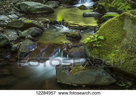 Stock Photo - Necarney Creek flows out of the Coast Range at Oswald West State Park; Manzanita, Oregon, United States of America. Fotosearch