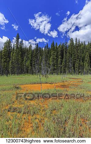 Stock Photograph - Ochre colored Paint Pots, Kootenay National Park; British Columbia, Canada. Fotosearch