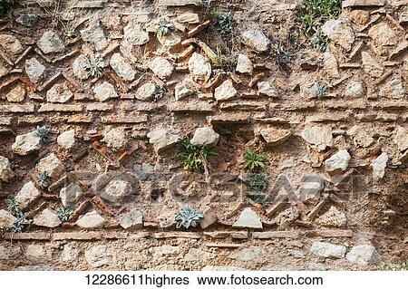 Stock Photograph - Old stone wall with plants growing on it; Delphi, Greece. Fotosearch