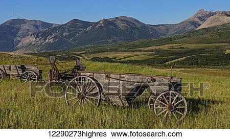 Old wagons in fields in the foothills; Alberta, Canada View Large Photo Image Stock Photograph - Old wagons in fields in the foothills; Alberta, Canada. Fotosearch