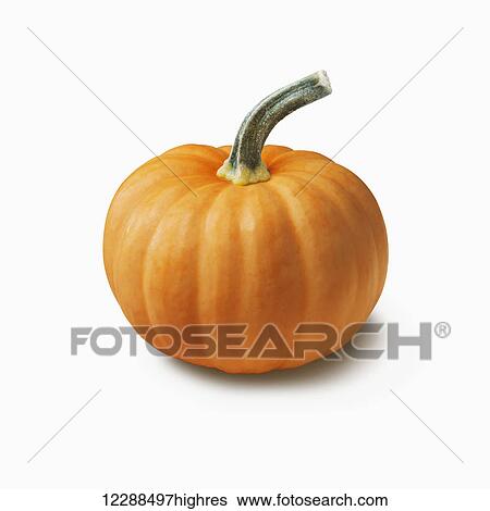 Stock Photograph - Orange pumpkin on a white background; Toronto, Ontario, Canada. Fotosearch