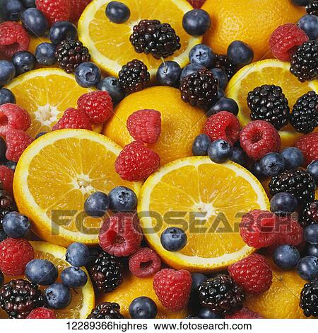Oranges and a variety of berries; Toronto, Ontario, Canada View Large Photo Image Stock Photograph - Oranges and a variety of berries; Toronto, Ontario, Canada. Fotosearch