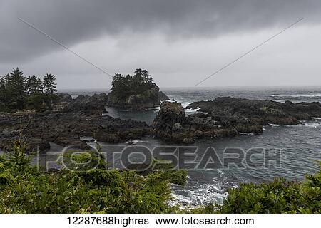 Pacific Rim National Park; British Columbia, Canada View Large Photo Image Stock Photograph - Pacific Rim National Park; British Columbia, Canada. Fotosearch