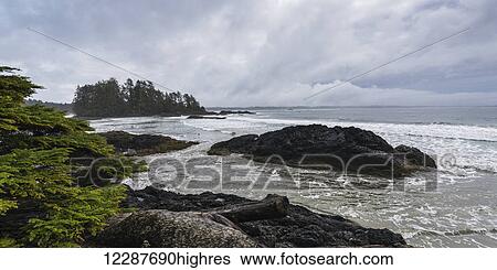 Stock Photograph - Pacific Rim National Park; British Columbia, Canada. Fotosearch