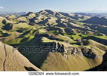 Panorama of wavy mountains and pastures for sheep; North Island, New Zealand View Large Photo Image Picture - Panorama of wavy mountains and pastures for sheep; North Island, New Zealand. Fotosearch