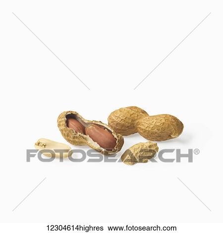 Stock Photograph - Peanuts in a shell on a white background; Toronto, Ontario, Canada. Fotosearch