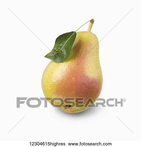 Stock Photograph - Pear with a leaf on a white background; Toronto, Ontario, Canada. Fotosearch