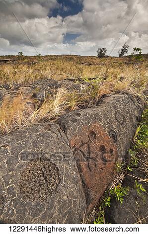 Stock Photograph - Petroglyphs on a rock outcrop in Hawaii Volcanoes National Park; Island of Hawaii, Hawaii, United States of America. Fotosearch