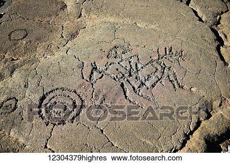 Petroglyphs on the Kings Trail; Waikaloa, Island of Hawaii, Hawaii, United States of America View Large Photo Image Stock Photograph - Petroglyphs on the Kings Trail; Waikaloa, Island of Hawaii, Hawaii, United States of America. Fotosearch