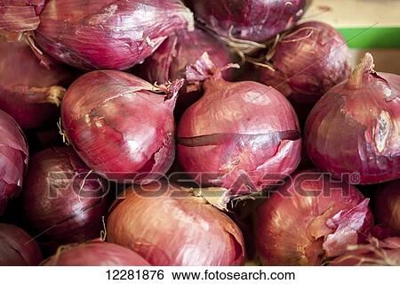 Pile of red onions; Denton, Maryland, United States of America View Large Photo Image Stock Photograph - Pile of red onions; Denton, Maryland, United States of America. Fotosearch