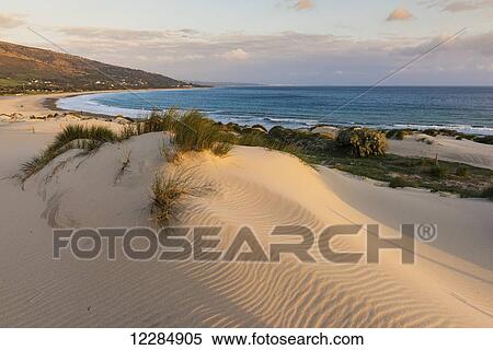 Punta Paloma sand dunes; Tarifa, Costa de la Luz, Cadiz, Andalusia, Spain View Large Photo Image Stock Photography - Punta Paloma sand dunes; Tarifa, Costa de la Luz, Cadiz, Andalusia, Spain. Fotosearch