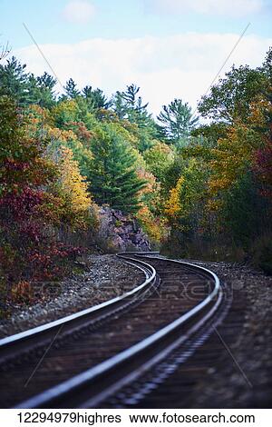 Stock Photograph - Railroad tracks through an autumn coloured forest; Ontario, Canada. Fotosearch