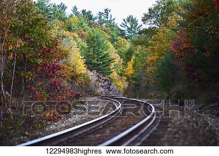 Stock Photograph - Railroad tracks winding through an autumn coloured forest in Muskoka; Ontario, Canada. Fotosearch
