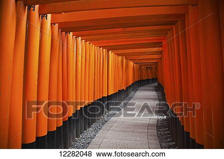 Stock Photo - Red torii gates; Kyoto, Japan. Fotosearch
