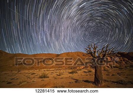Stock Photography - Richtersveld National Park with dead Kookerboom tree and star trails in the night sky; South Africa. Fotosearch
