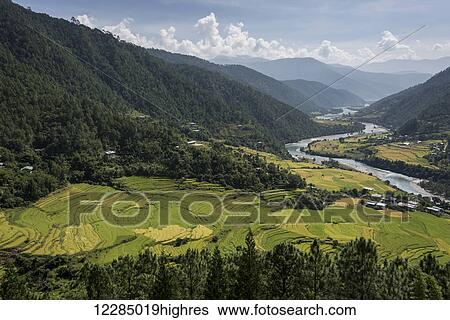 Stock Photograph - River flowing through a valley with lush farmland surrounded by mountains; Thimphu, Bhutan. Fotosearch