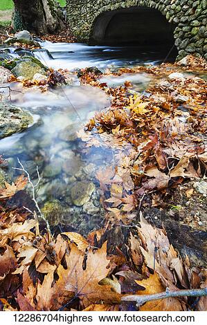 Stock Photograph - River flowing under stone bridge with floating autumn coloured leaves; Naoussa, Greece. Fotosearch