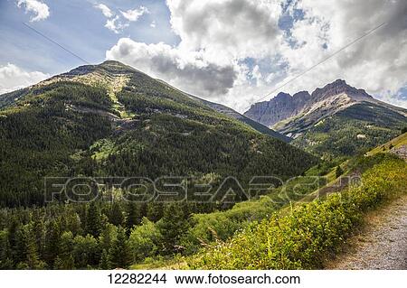 Roadside view from the Akimna Parkway in Waterton Lakes National Park; Alberta, Canada View Large Photo Image Picture - Roadside view from the Akimna Parkway in Waterton Lakes National Park; Alberta, Canada. Fotosearch