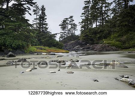 Stock Photograph - Rocks scattered on a sand beach and tide pools; Tofino, British Columbia, Canada. Fotosearch
