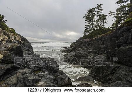 Stock Photograph - Rocky coastline at Pettinger Point, Pacific Rim National Park Reserve; Tofino, British Columbia, Canada. Fotosearch