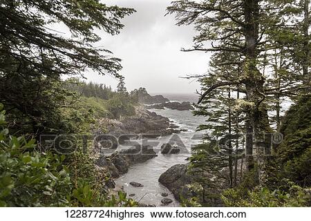 Stock Photograph - Rugged coastline on Wild Pacific Trail; Ucluelet, British Columbia, Canada. Fotosearch