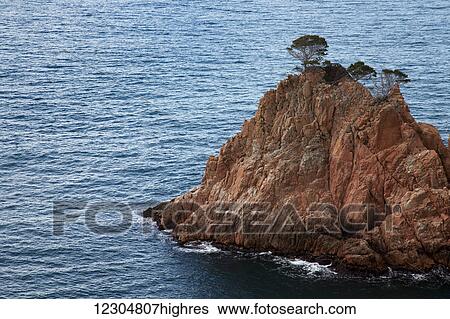 Rugged rock with trees on the ridge out in the ocean; Gerone, Catalonia, Costa Brava, Spain View Large Photo Image Stock Photograph - Rugged rock with trees on the ridge out in the ocean; Gerone, Catalonia, Costa Brava, Spain. Fotosearch