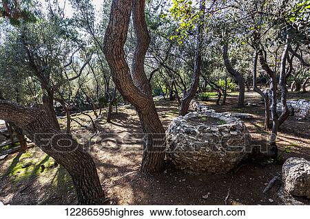 Stock Photograph - Ruined structures; Athens, Greece. Fotosearch
