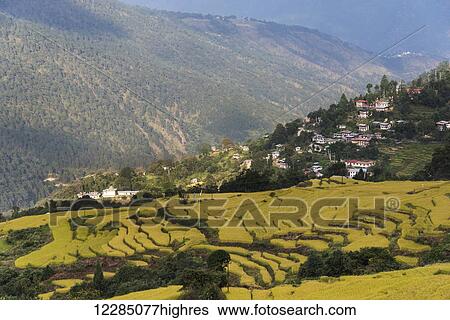 Stock Photograph - Rural landscape with terraced farmland; Thimphu, Bhutan. Fotosearch